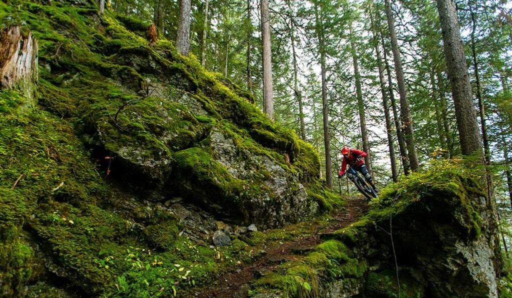 François Bailly-Maitre Julbo MTB enduro All mountain