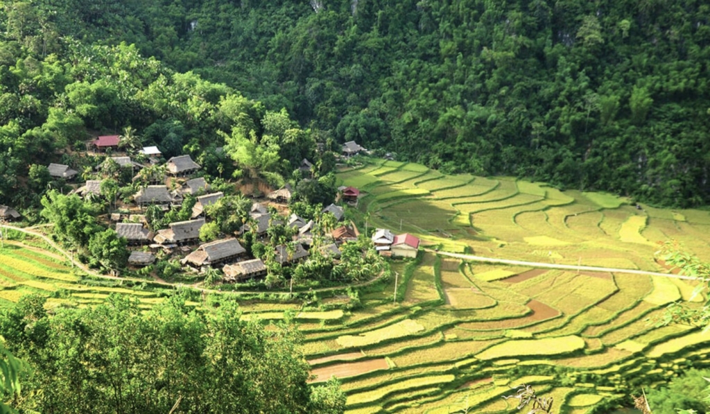 Galerie Vietnam vélo vtt