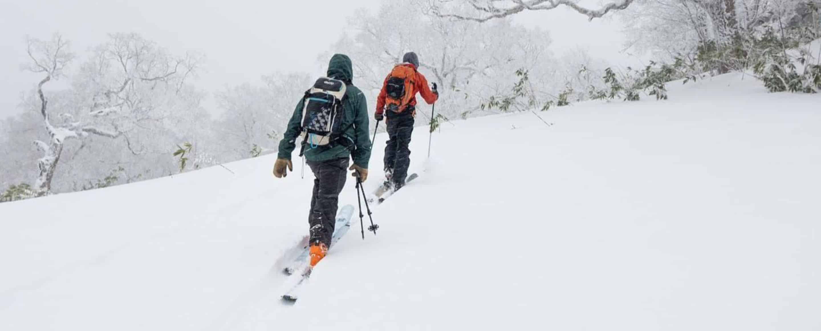 People Cover - team guide ski snowboard freeride japon